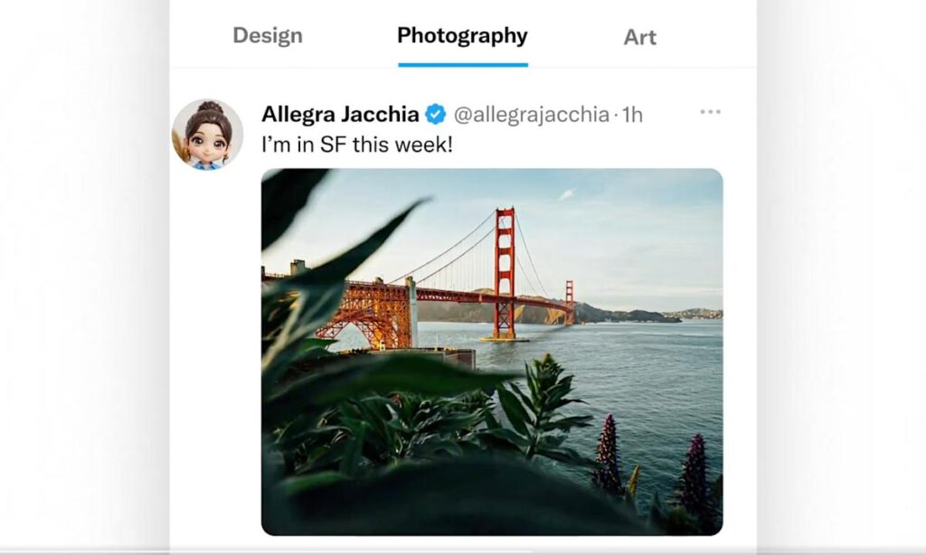 x custom timeline 0669.jpg