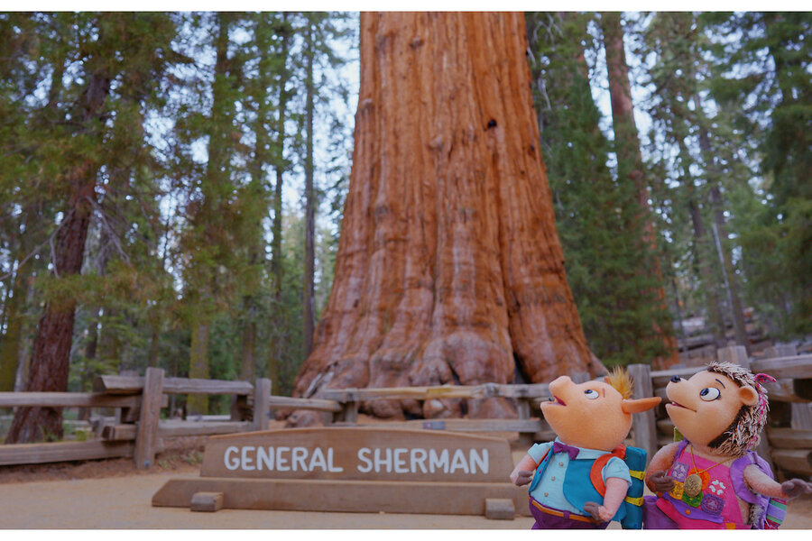 0430 NMUPPETS SEQUOIA.jpg