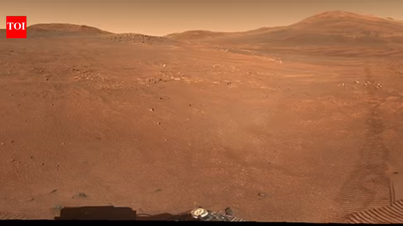 1778088114 photo.jpg