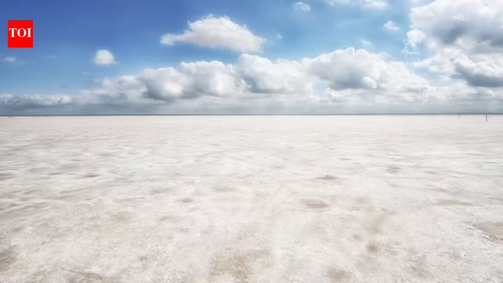 Hidden beneath Oklahoma’s white salt flats lies a crystal found nowhere else on Earth that people can dig up for free 1 1778772484 photo.jpg