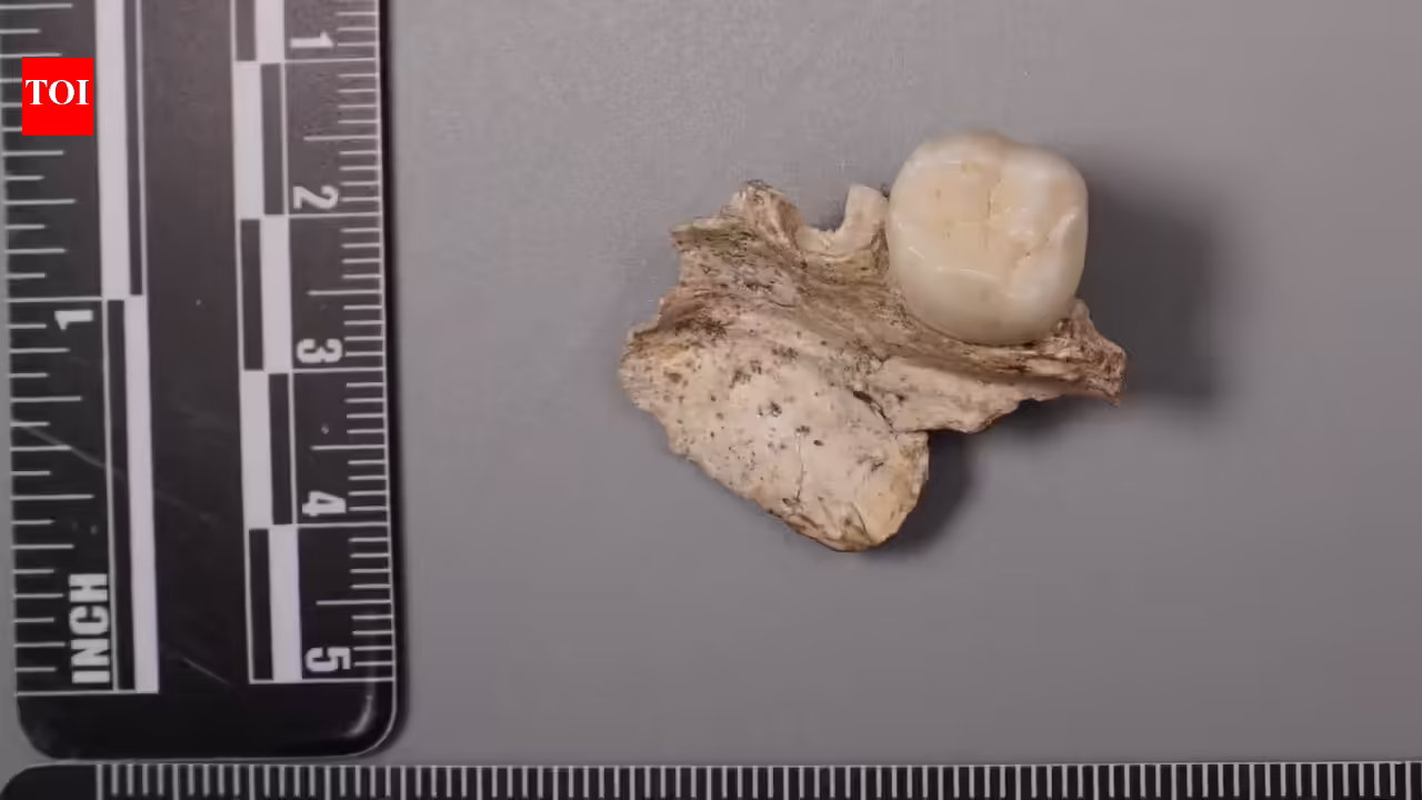 1778919250 photo.jpg