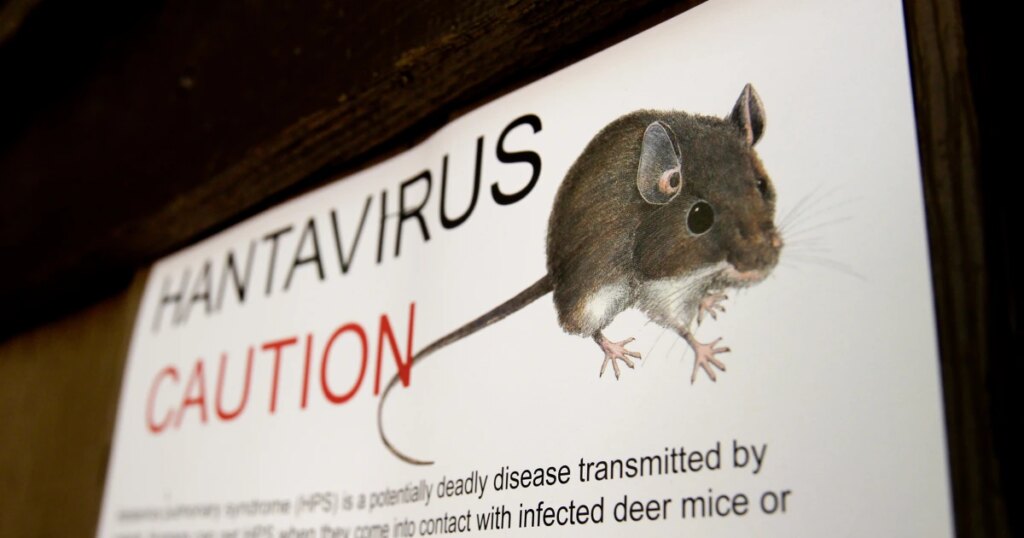 260503 hantavirus ww 1853 bbe87f.jpg