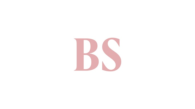 Business Standard 1 685x385.jpg