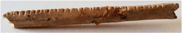 Lebombo Bone 1.png