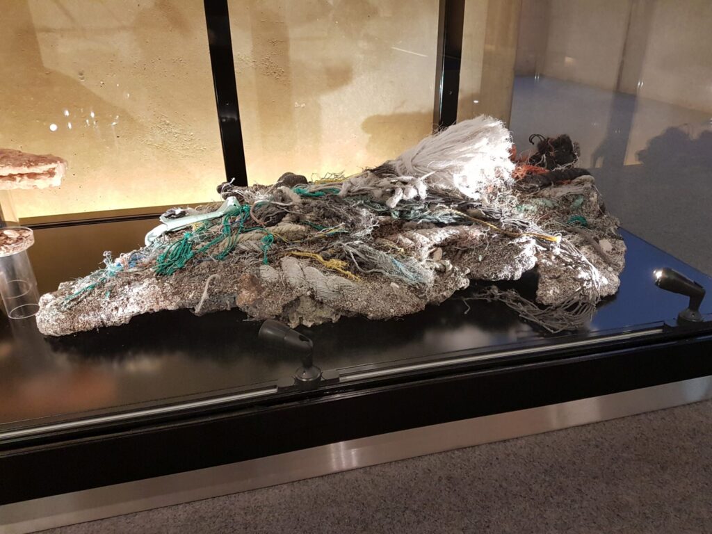 Plastiglomerate Museon scaled.jpg