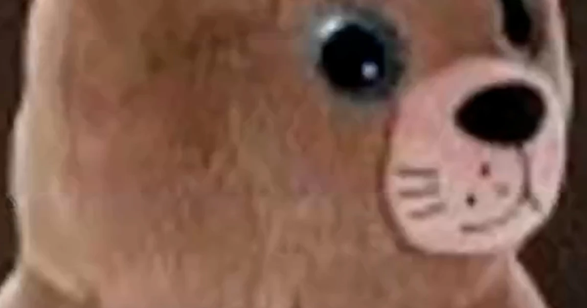 chonkers stuffed m6bgxe.jpg
