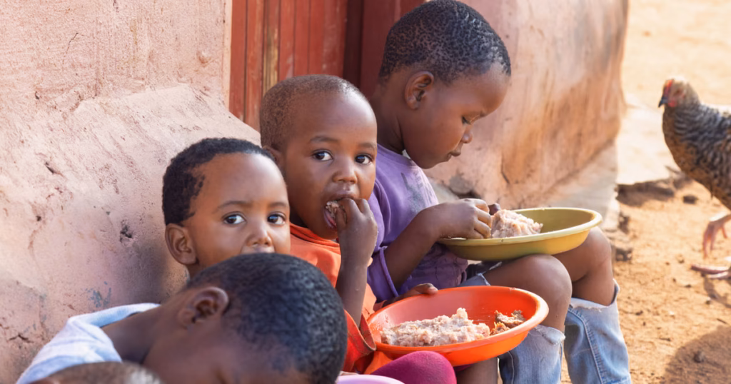 downtoearth2F2026 05 012Fhrvh3eem2FAfrica diet.avif