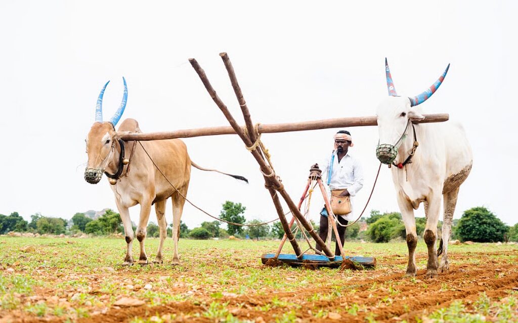 downtoearth2F2026 05 072Ftz5p95sa2FFarmers India.jpg