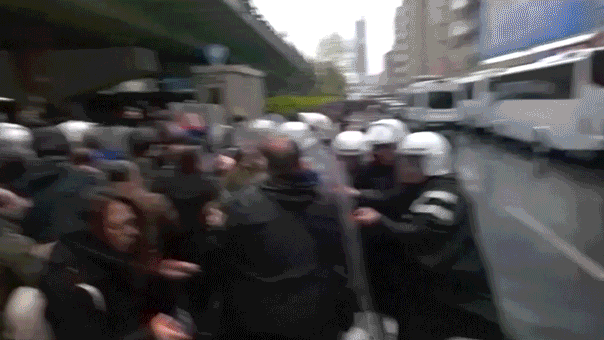 may day turkey scuffle.gif