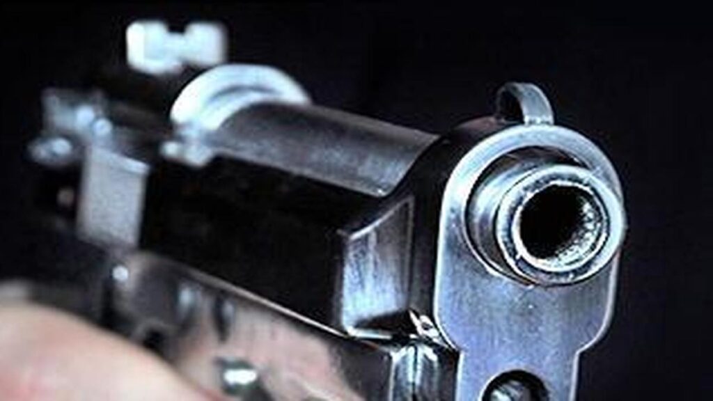 thvli Gun mass shooting pistol.jpeg
